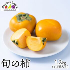 【予約受付】10月上旬~順次出荷【九州】1.2kg　旬の柿