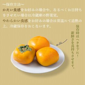 【予約受付】10月上旬~順次出荷【九州】1.2kg　旬の柿