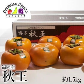 【予約受付】10月下旬~順次出荷【福岡】約1.5kg　秋王（種なし甘柿）