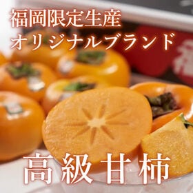 【予約受付】10月下旬~順次出荷【福岡】約1.5kg　秋王（種なし甘柿）