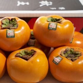 【予約受付】10月下旬~順次出荷【福岡】約1.5kg　秋王（種なし甘柿）