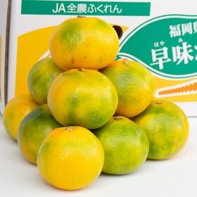 【予約受付】9月下旬~順次出荷【福岡】約2kg   早味かん