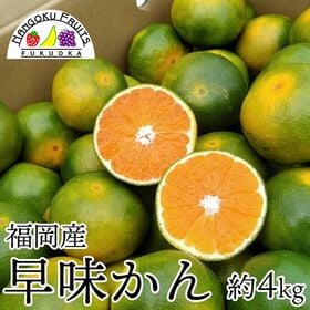 【予約受付】9月下旬~順次出荷【福岡】約4kg   早味かん