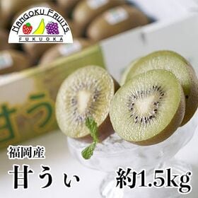 【予約受付】10月下旬~順次出荷【福岡】約1.5kg　甘うぃ(キウイ)