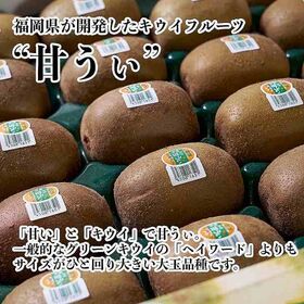 【予約受付】10月下旬~順次出荷【福岡】約1.5kg　甘うぃ(キウイ)