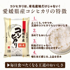 新米【20kg (5kg×4袋)】【白米】愛媛県産 コシヒカリ 令和8年産