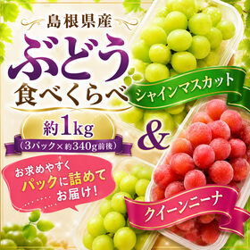 【約1kg(3パック×約340g前後)】ご家庭用 島根県産シャインマスカット 食べ比べパックセット