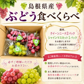 【約1kg(3パック×約340g前後)】ご家庭用 島根県産シャインマスカット 食べ比べパックセット