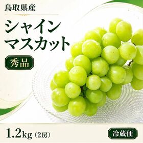 【1.2kg/2房】【秀品】鳥取県産 シャインマスカット