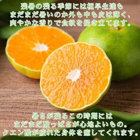 【予約受付】9/22-順次出荷【2kg/2S-2Lサイズ込】極早生吉田みかん　※ご家庭用