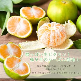 【予約受付】9/22-順次出荷【5kg/2S-2Lサイズ込】極早生吉田みかん　※ご家庭用