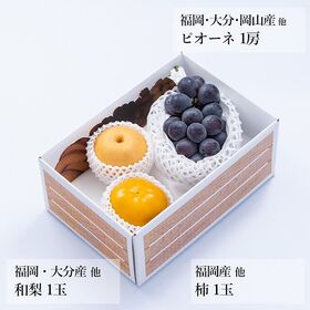 【予約受付】10月上旬~順次出荷　旬のフルーツセットA09(ピオーネ・柿・和梨)
