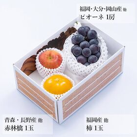 【予約受付】10月上旬~順次出荷　旬のフルーツセットA12（ピオーネ・柿・林檎）