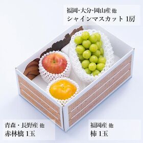 【予約受付】10月上旬~順次出荷　フルーツセットA18 (シャインマスカット・柿・林檎)