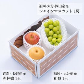 旬のフルーツセットA19（シャインマスカット・和梨・赤林檎）