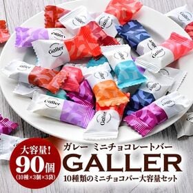 【賞味期限要確認】【10種/計90粒】ガレー ミニチョコレートアソート（30粒入り×3袋）