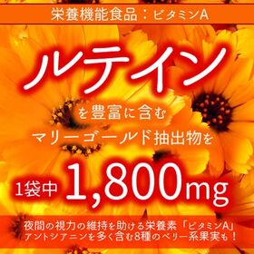 【日替わり数量限定】【大容量約6か月分】くっきり濃いビルベリー＆ルテイン【先行チケット利用NG】