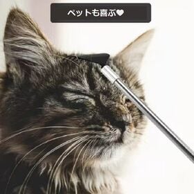 スッと伸びて、使いやすいコンパクト孫の手2本セット（収納用布袋つき）