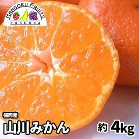 【予約受付】11月上旬~順次出荷【福岡】約4kg　山川みかん