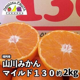 【予約受付】11月下旬~順次出荷【福岡】約2kg　山川みかん マイルド130