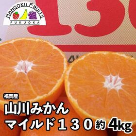 【予約受付】11月下旬~順次出荷【福岡】約4kg　山川みかん マイルド130