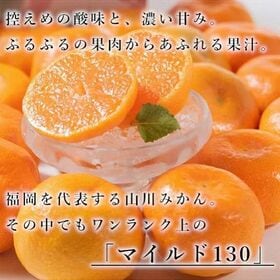 【予約受付】11月下旬~順次出荷【福岡】約8kg　山川みかん マイルド130