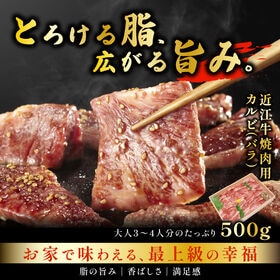 【日替わり数量限定】【500g】近江牛(黒毛和牛)ごちそう焼肉用カルビ バラ 滋賀県が誇るブランド牛【先行チケット利用NG】