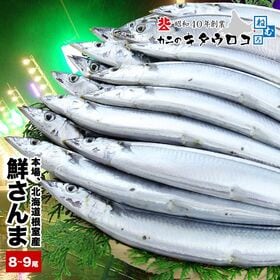 【予約受付】9/29~順次出荷【要冷蔵：生鮮】【計1kg前後/8-9尾入】鮮度抜群! 根室産鮮さんま | 水揚げ日より漁獲日重視！北海道根室産の鮮さんまをご賞味ください！