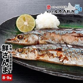 【予約受付】9/29~順次出荷【要冷蔵：生鮮】【計1kg前後/8-9尾入】鮮度抜群! 根室産鮮さんま