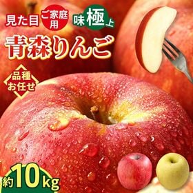【予約受付】10/1~順次出荷【10kg】 青森県産 ご家庭用りんご 10kg 品種おまかせ | 旬の味をお届け！その時いちばんおいしいりんごの品種をお届けします！