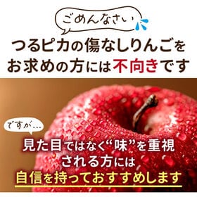 【予約受付】11/1~順次出荷【5kg】 青森県産 りんご 優品 サンふじ