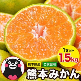 【予約受付】10/30~順次出荷【1.5kg(約8玉前後~30玉前後入)】熊本みかん ※ご家庭用 | ジュワッ！と広がるみかん果汁！