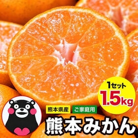 【予約受付】10/30~順次出荷【1.5kg(約8玉前後~30玉前後入)】熊本みかん ※ご家庭用 | ジュワッ！と広がるみかん果汁！