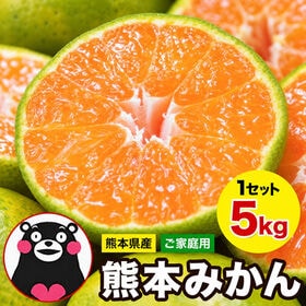 【予約受付】10/30~順次出荷【5kg(約26玉前後~100玉前後入)】熊本みかん ※ご家庭用