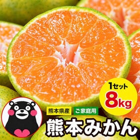 【予約受付】10/30~順次出荷【8kg(約42玉前後~160玉前後入)】熊本みかん ※ご家庭用