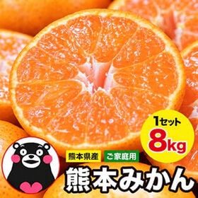 【予約受付】10/30~順次出荷【8kg(約42玉前後~160玉前後入)】熊本みかん ※ご家庭用 | ジュワッ！と広がるみかん果汁！
