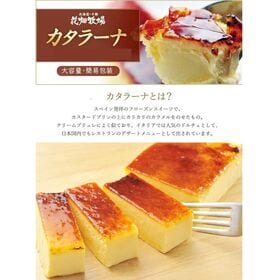 【日替わり数量限定】【500g(2個入)】花畑牧場 業務用カタラーナ【先行チケット利用NG】