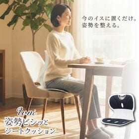 【ブラック】姿勢ビシッとシートクッション