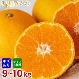 【予約受付】10/25~順次出荷【9~10kg】厳選 温州みかん(傷あり)