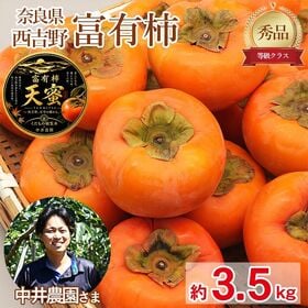 【予約受付】11/5~順次出荷【約3.5kg】《秀品》大きさお任せ 富有柿　天蜜 | 天空の畑が育てた豊かな味わいをお楽しみください♪