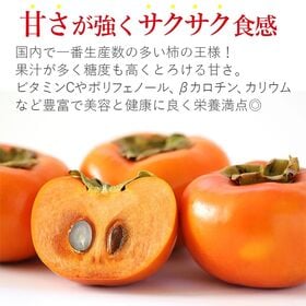 【予約受付】11/5~順次出荷【約3.5kg】《ご家庭用》大きさお任せ 富有柿　天蜜
