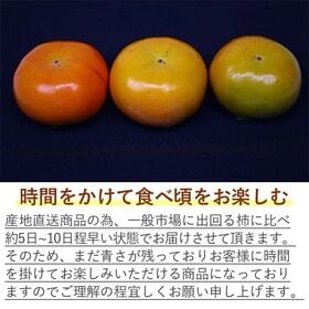 【予約受付】11/5~順次出荷【約3.5kg】《ご家庭用》大きさお任せ 富有柿　天蜜