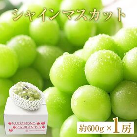 地域厳選シャインマスカット　優品　約600g　1房 | 口いっぱいに広がる上品な甘さをお楽しみください。