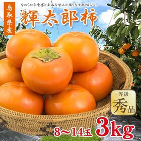 【予約受付】10/1~順次出荷【3kg/8~14玉】《秀品》鳥取県産 輝太郎柿 | なめらかな食感と上品な甘みが織りなす秋のしらべ