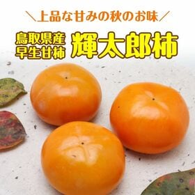 【予約受付】10/1~順次出荷【3kg/8~14玉】《秀品》鳥取県産 輝太郎柿