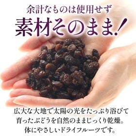 【日替わり数量限定】【750g×1P】カリフォルニア産レーズン 750g 砂糖不使用【先行チケット利用NG】