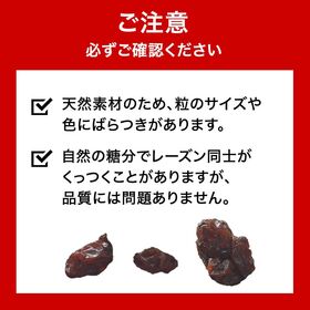 【日替わり数量限定】【750g×1P】カリフォルニア産レーズン 750g 砂糖不使用【先行チケット利用NG】