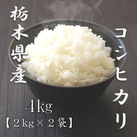【計4kg/2kg×2袋】[精米]令和8年産 栃木県産コシヒカリ 白米