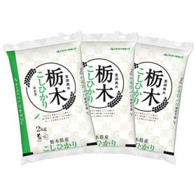 【計6kg/2kg×3袋】[精米]令和8年産 栃木県産コシヒカリ 白米