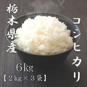 【計6kg/2kg×3袋】[精米]令和8年産 栃木県産コシヒカリ 白米